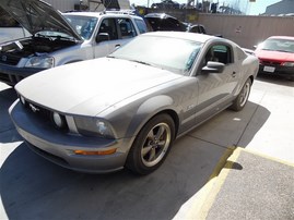 2006 FORD MUSTANG GT GRAY 4.6 AT F19083